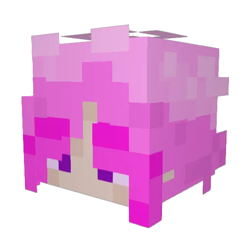 Werver Minecraft avatar head, 3D render