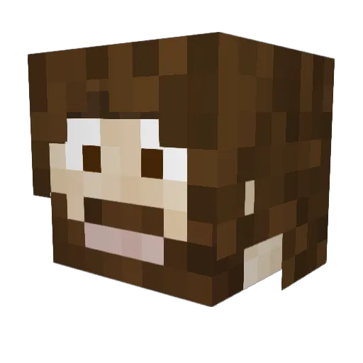 Werwinn Minecraft avatar head, 3D render