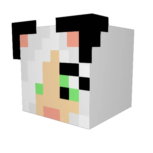 Werwoelfin9 Minecraft avatar head, 3D render
