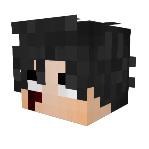 Werxzawa Minecraft avatar head, 3D render