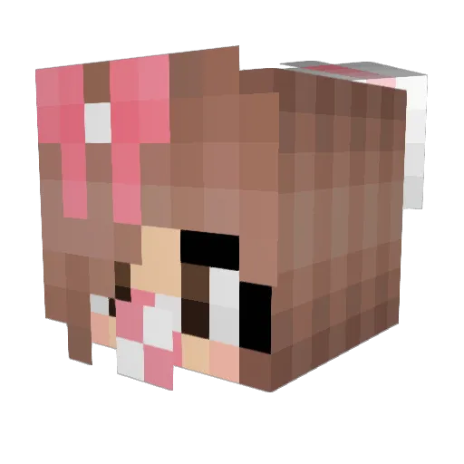 Werzal Minecraft avatar head, 3D render