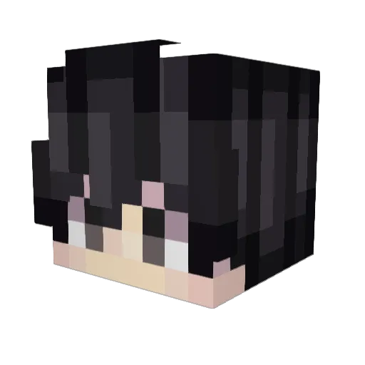 Wes0079 Minecraft avatar head, 3D render