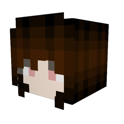 WesDoesNothing Minecraft avatar head, 3D render