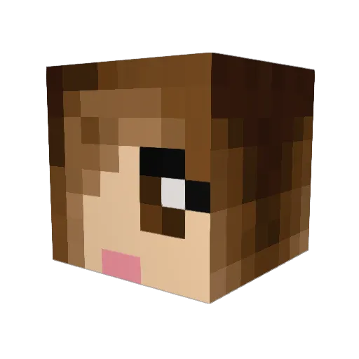 WesJaz Minecraft avatar head, 3D render
