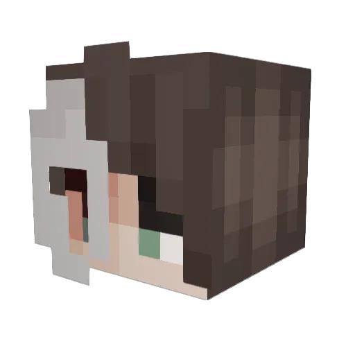 WesPo12 Minecraft avatar head, 3D render