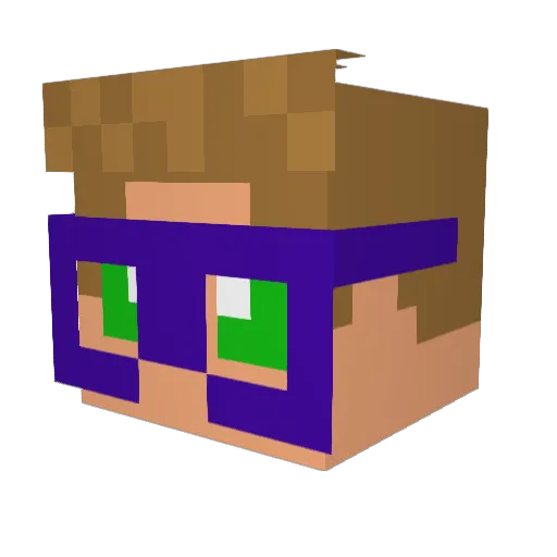 WesTheNotOk12 Minecraft avatar head, 3D render