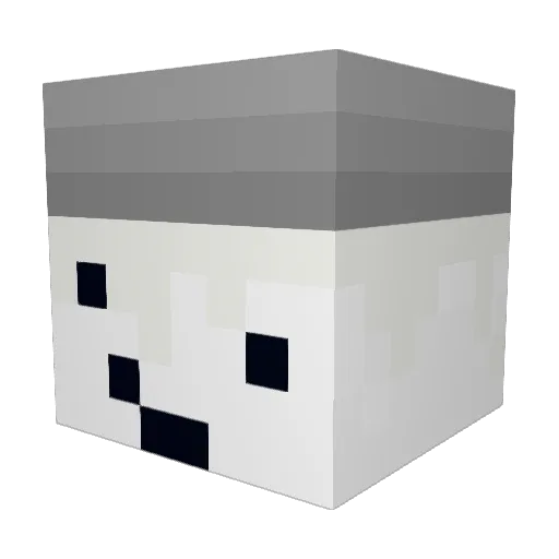 Wesburn Minecraft avatar head, 3D render