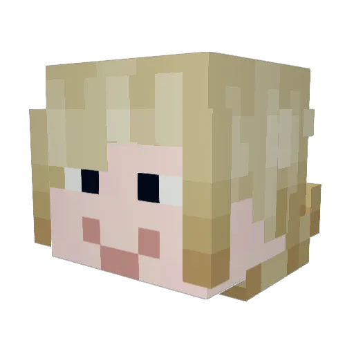 Wesdog14 Minecraft avatar head, 3D render