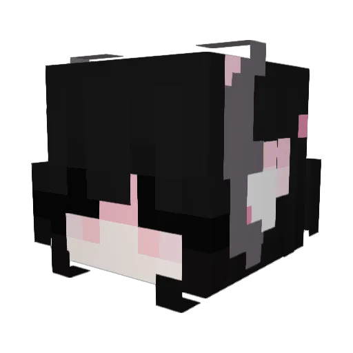 WeshBacon Minecraft avatar head, 3D render