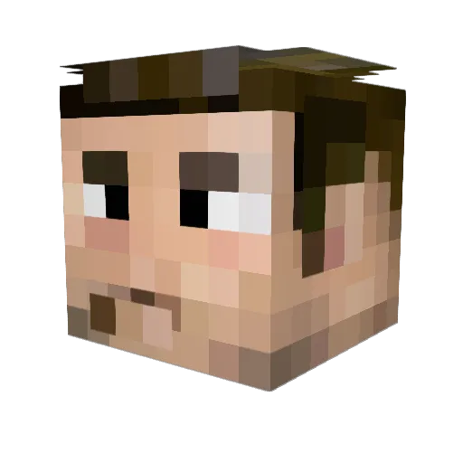 Wesh_Narvalo Minecraft avatar head, 3D render