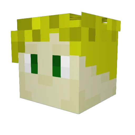 Wesley045 Minecraft avatar head, 3D render
