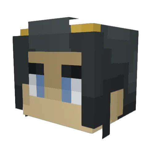 Wesley3788 Minecraft avatar head, 3D render