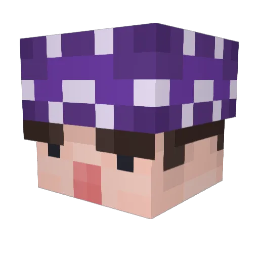 Wesley38 Minecraft avatar head, 3D render