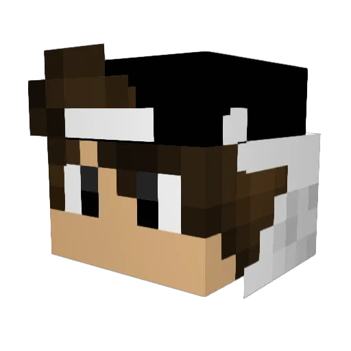 Wesley9993 Minecraft avatar head, 3D render