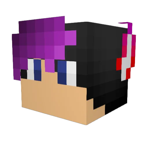 WesleyGalaxyWolf Minecraft avatar head, 3D render