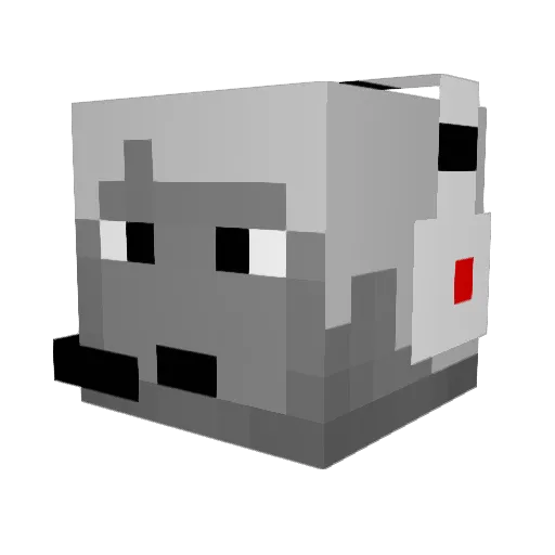 WesleyO05 Minecraft avatar head, 3D render