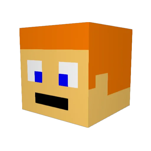 Wesleyblackninja Minecraft avatar head, 3D render