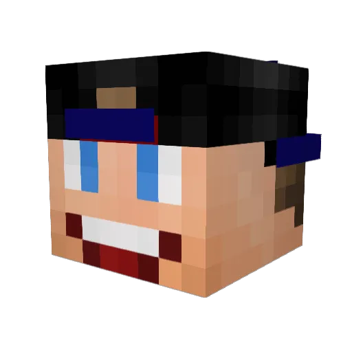 Wesleyy12 Minecraft avatar head, 3D render