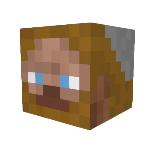 Weslhaus Minecraft avatar head, 3D render