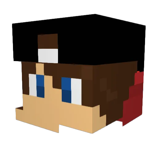 Wessel__S Minecraft avatar head, 3D render