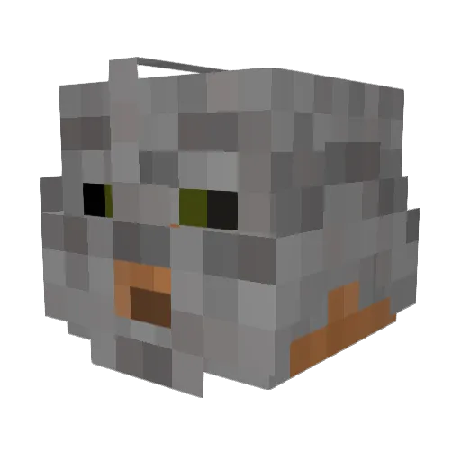 WestWing99 Minecraft avatar head, 3D render