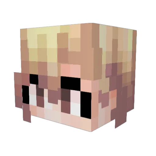 West_Einstein Minecraft avatar head, 3D render