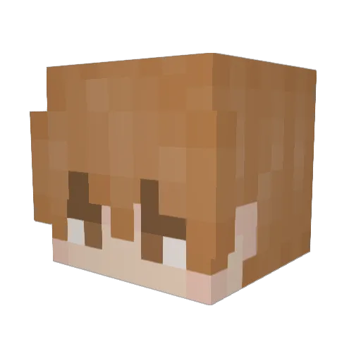West_Error Minecraft avatar head, 3D render