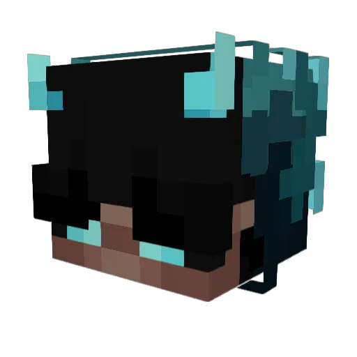 WestardvanDooren Minecraft avatar head, 3D render