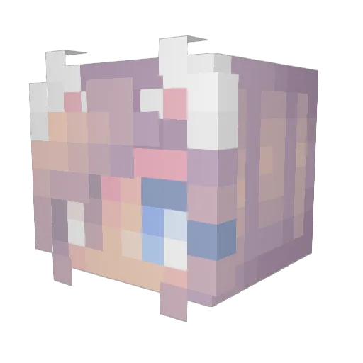 WesternJungkook Minecraft avatar head, 3D render