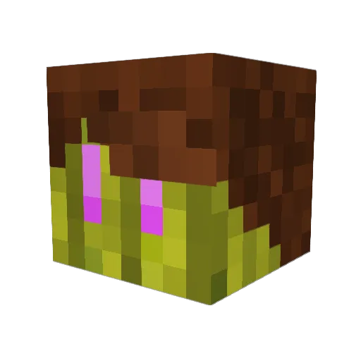 WesternMelon Minecraft avatar head, 3D render