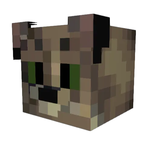 WesternSwamp Minecraft avatar head, 3D render