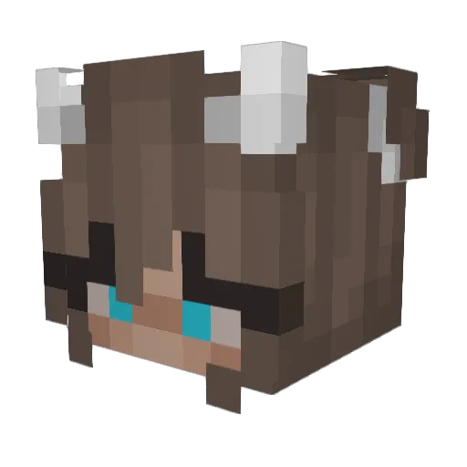 Westfahl Minecraft avatar head, 3D render