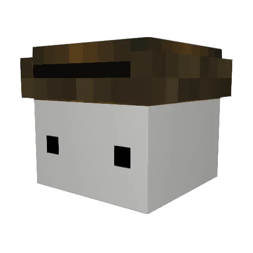 WestingYT Minecraft avatar head, 3D render