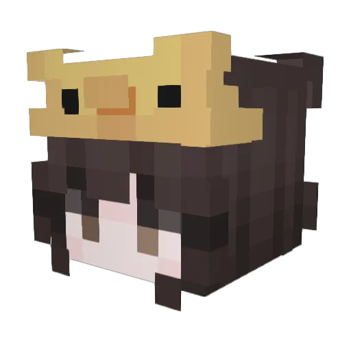 Westminster_ Minecraft avatar head, 3D render