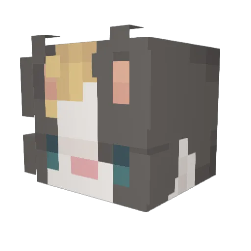 WestoFloppa Minecraft avatar head, 3D render