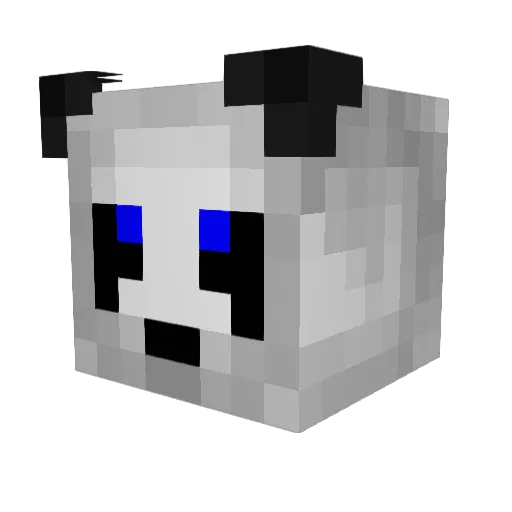 Weston331 Minecraft avatar head, 3D render