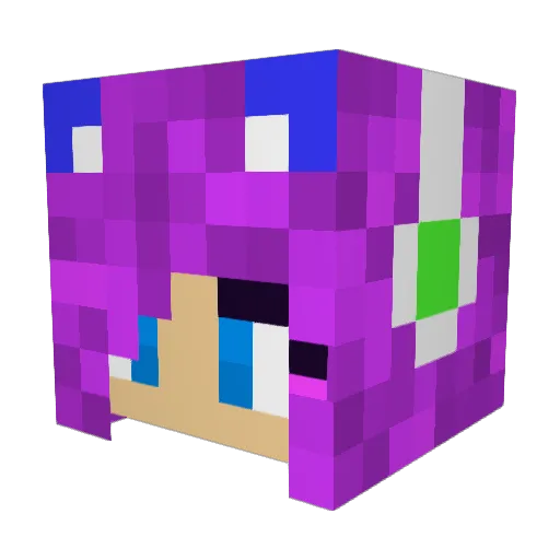 Weston73 Minecraft avatar head, 3D render