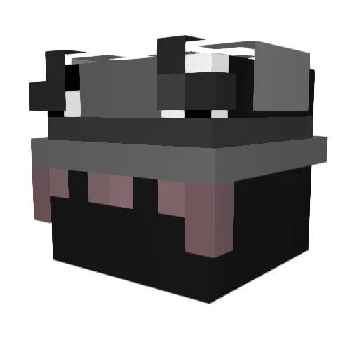 Weston_MC Minecraft avatar head, 3D render