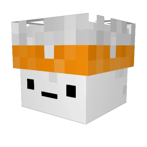 Westy111 Minecraft avatar head, 3D render