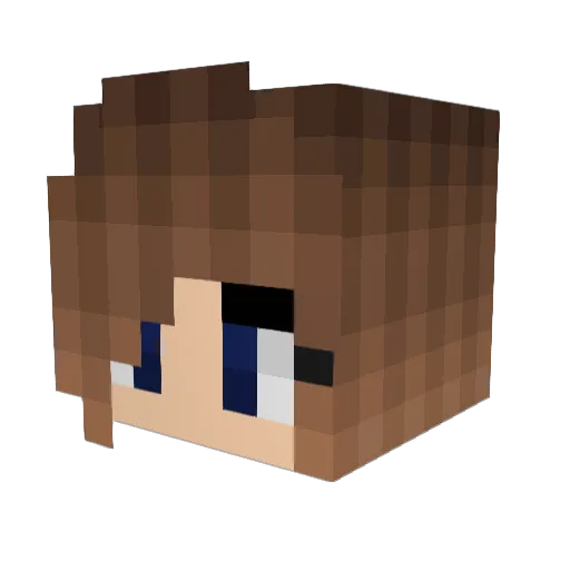 Westy23 Minecraft avatar head, 3D render