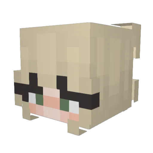 WestyMC Minecraft avatar head, 3D render