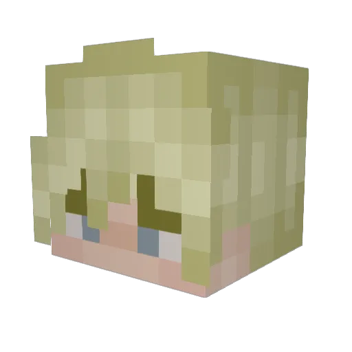 Weswas_found Minecraft avatar head, 3D render