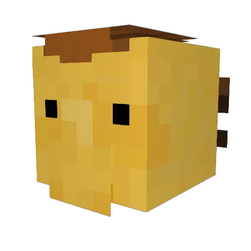 WetFalcon Minecraft avatar head, 3D render