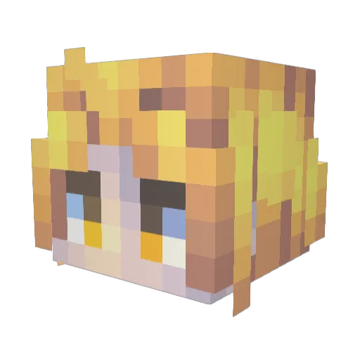 WetNood1e Minecraft avatar head, 3D render
