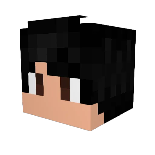 WetPaperTowel Minecraft avatar head, 3D render