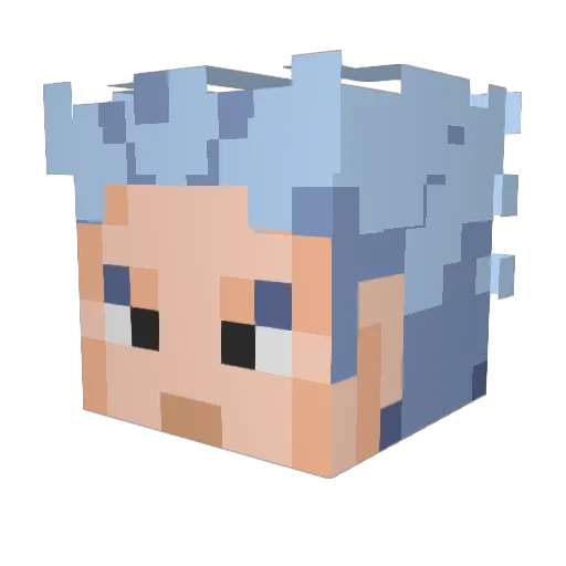 WetPigeon1 Minecraft avatar head, 3D render