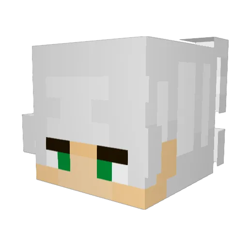 WetPigeon Minecraft avatar head, 3D render
