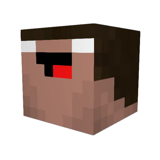 WetSalmon1998 Minecraft avatar head, 3D render