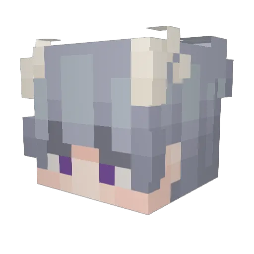 WetSandwich2361 Minecraft avatar head, 3D render