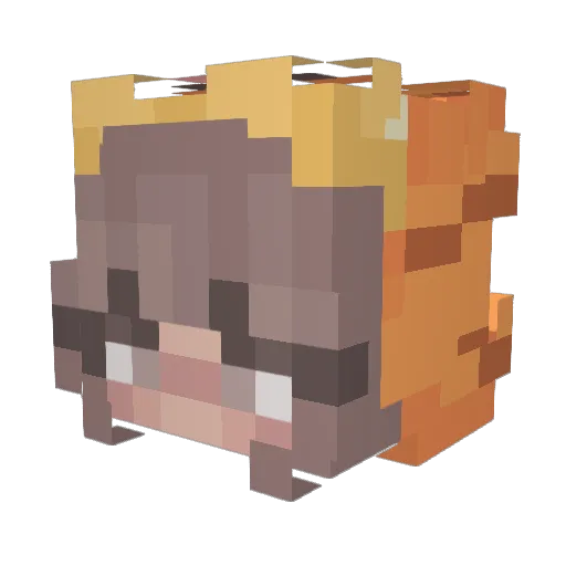 WetSockP7 Minecraft avatar head, 3D render